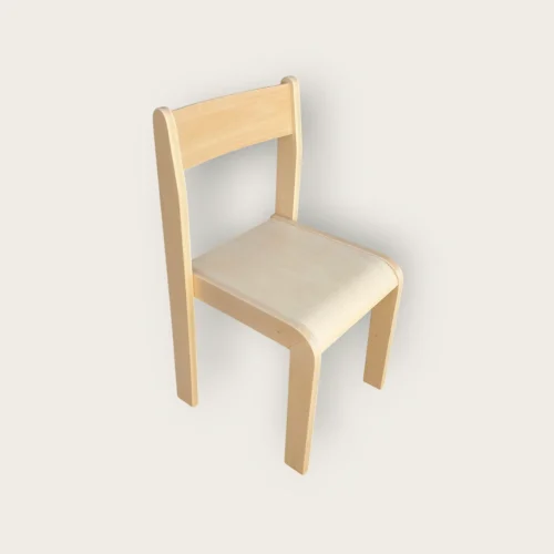 Stolica MS